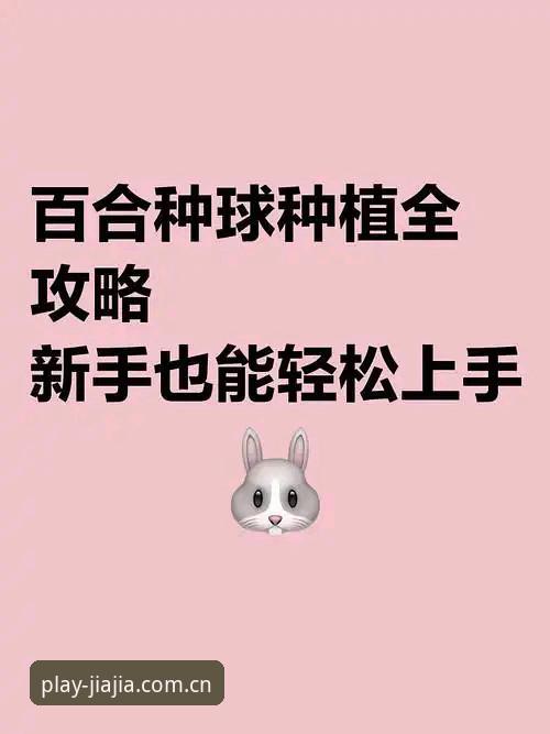 加加体育官网注册全流程操作教程——新手也能轻松上手