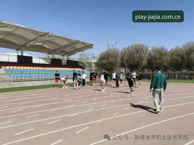 2024加加体育注册使用技巧最新动态：从新手到高手的完整操作指南